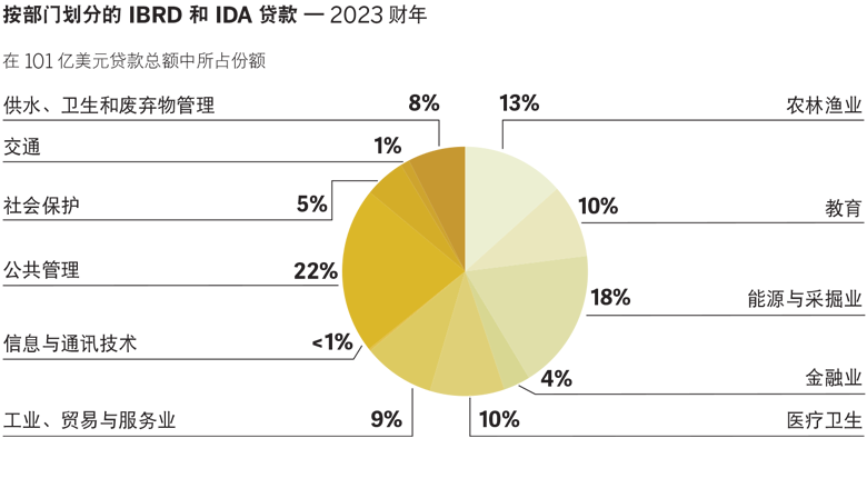 World Bank Annual Report 2023 - SAR Pie Chart